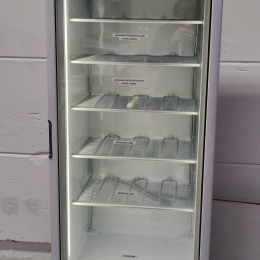 Freezer Mondial 